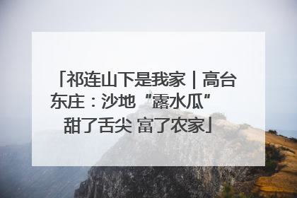 祁连山下是我家｜高台东庄：沙地“露水瓜” 甜了舌尖 富了农家