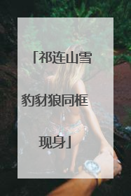 祁连山雪豹豺狼同框现身