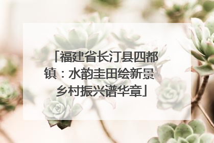 福建省长汀县四都镇：水韵圭田绘新景 乡村振兴谱华章