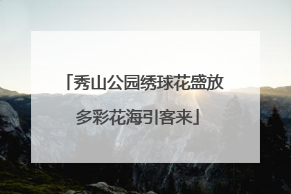 秀山公园绣球花盛放 多彩花海引客来