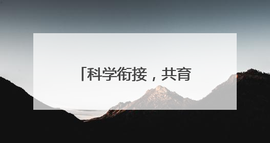 科学衔接，共育未来——北碚区龙凤教管中心开展幼小衔接交流活动