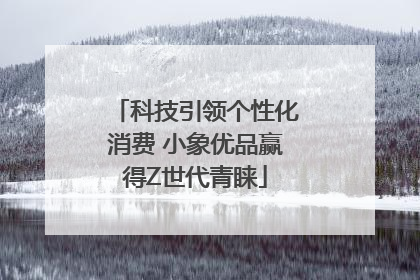 科技引领个性化消费 小象优品赢得Z世代青睐