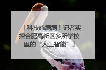 科技感满满！记者实探合肥高新区多所学校里的“人工智能”