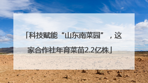 科技赋能“山东南菜园”，这家合作社年育菜苗2.2亿株