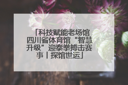 科技赋能老场馆 四川省体育馆“智慧升级”迎泰拳搏击赛事丨探馆世运