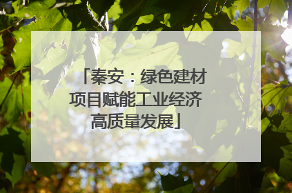 秦安：绿色建材项目赋能工业经济高质量发展