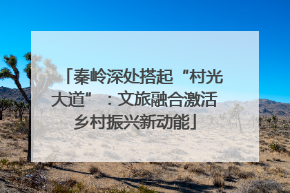 秦岭深处搭起“村光大道”：文旅融合激活乡村振兴新动能