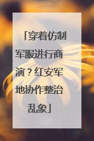 穿着仿制军服进行商演？红安军地协作整治乱象