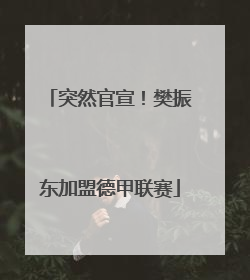 突然官宣！樊振东加盟德甲联赛