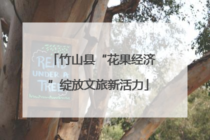 竹山县“花果经济”绽放文旅新活力