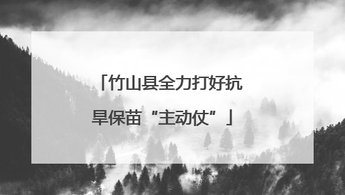 竹山县全力打好抗旱保苗“主动仗”