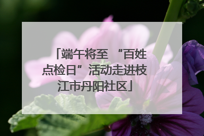 端午将至 “百姓点检日”活动走进枝江市丹阳社区