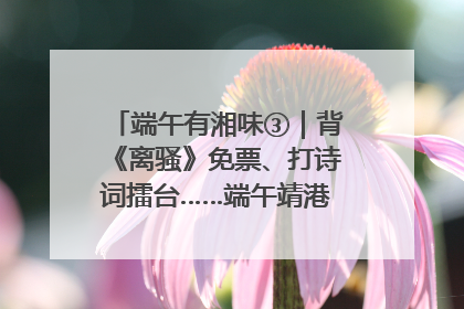 端午有湘味③｜背《离骚》免票、打诗词擂台……端午靖港古镇趣味多