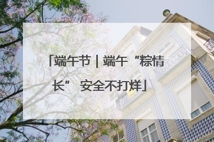 端午节｜端午“粽情长” 安全不打烊