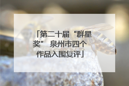 第二十届“群星奖” 泉州市四个作品入围复评