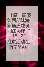 第二届服务西部陆海新通道建设司法协作“13+2”推进活动在南宁举办