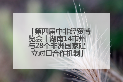 第四届中非经贸博览会丨湖南14市州与28个非洲国家建立对口合作机制