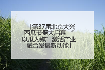 第37届北京大兴西瓜节盛大启幕 “以瓜为媒”激活产业融合发展新动能