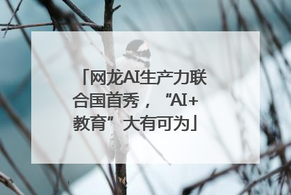 网龙AI生产力联合国首秀，“AI+教育”大有可为
