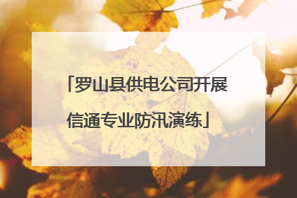 罗山县供电公司开展信通专业防汛演练