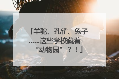 羊驼、孔雀、兔子……这些学校藏着 “动物园”？！