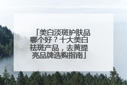 美白淡斑护肤品哪个好？十大美白祛斑产品，去黄提亮品牌选购指南