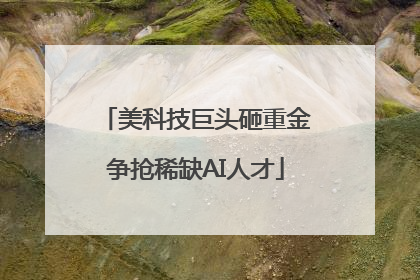 美科技巨头砸重金争抢稀缺AI人才