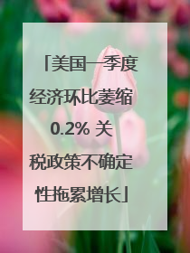 美国一季度经济环比萎缩0.2% 关税政策不确定性拖累增长