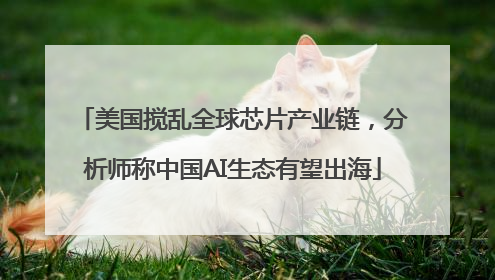 美国搅乱全球芯片产业链，分析师称中国AI生态有望出海
