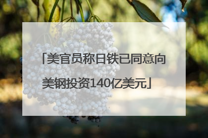 美官员称日铁已同意向美钢投资140亿美元