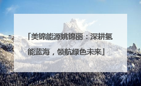 美锦能源姚锦丽：深耕氢能蓝海，领航绿色未来