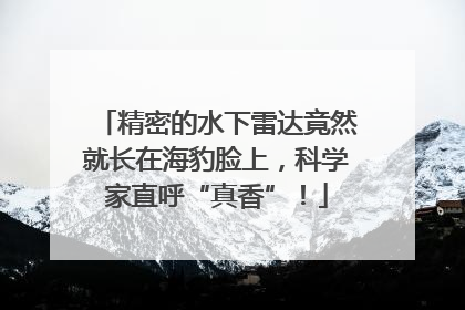 精密的水下雷达竟然就长在海豹脸上，科学家直呼“真香”！