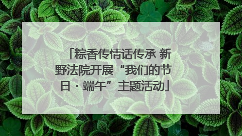 粽香传情话传承 新野法院开展“我们的节日・端午”主题活动