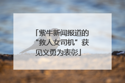 紫牛新闻报道的“救人女司机”获见义勇为表彰