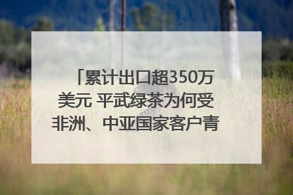 累计出口超350万美元 平武绿茶为何受非洲、中亚国家客户青睐？｜发布会观察