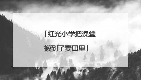 红光小学把课堂搬到了麦田里
