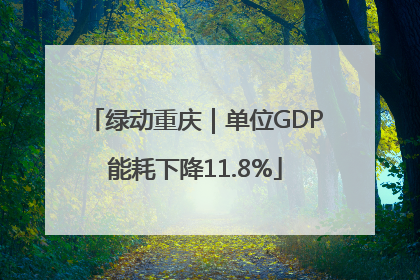 绿动重庆｜单位GDP能耗下降11.8%