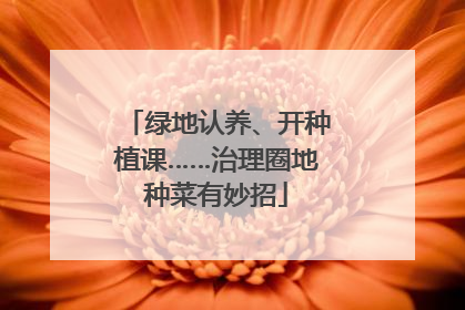 绿地认养、开种植课……治理圈地种菜有妙招