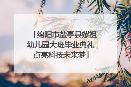绵阳市盐亭县嫘祖幼儿园大班毕业典礼点亮科技未来梦