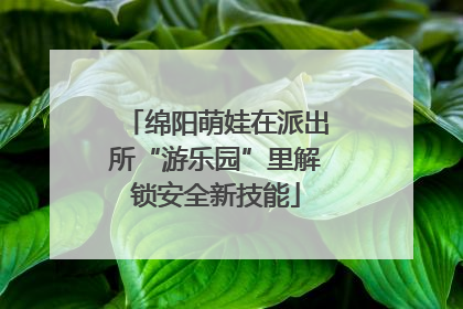 绵阳萌娃在派出所“游乐园”里解锁安全新技能