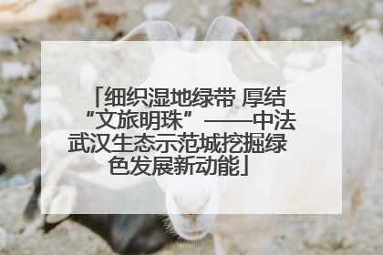 细织湿地绿带 厚结“文旅明珠”——中法武汉生态示范城挖掘绿色发展新动能