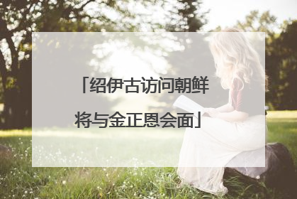 绍伊古访问朝鲜 将与金正恩会面