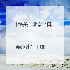 绝美！北京“莫奈睡莲”上线