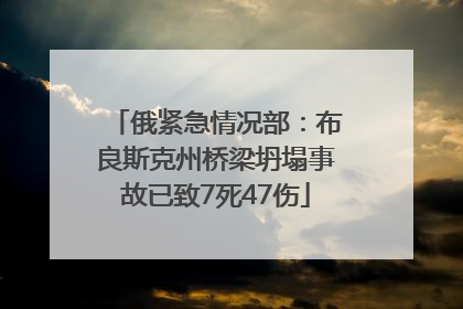 俄紧急情况部：布良斯克州桥梁坍塌事故已致7死47伤