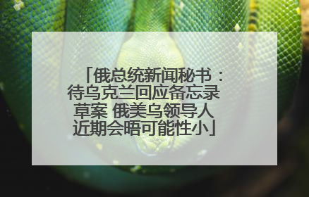 俄总统新闻秘书：待乌克兰回应备忘录草案 俄美乌领导人近期会晤可能性小