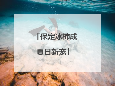 保定冰柿成夏日新宠