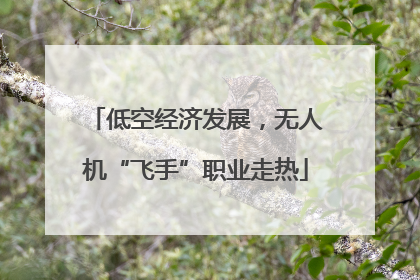 低空经济发展，无人机“飞手”职业走热