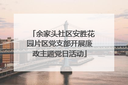 余家头社区安胜花园片区党支部开展廉政主题党日活动