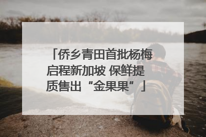 侨乡青田首批杨梅启程新加坡 保鲜提质售出“金果果”