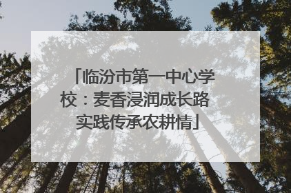 临汾市第一中心学校：麦香浸润成长路 实践传承农耕情